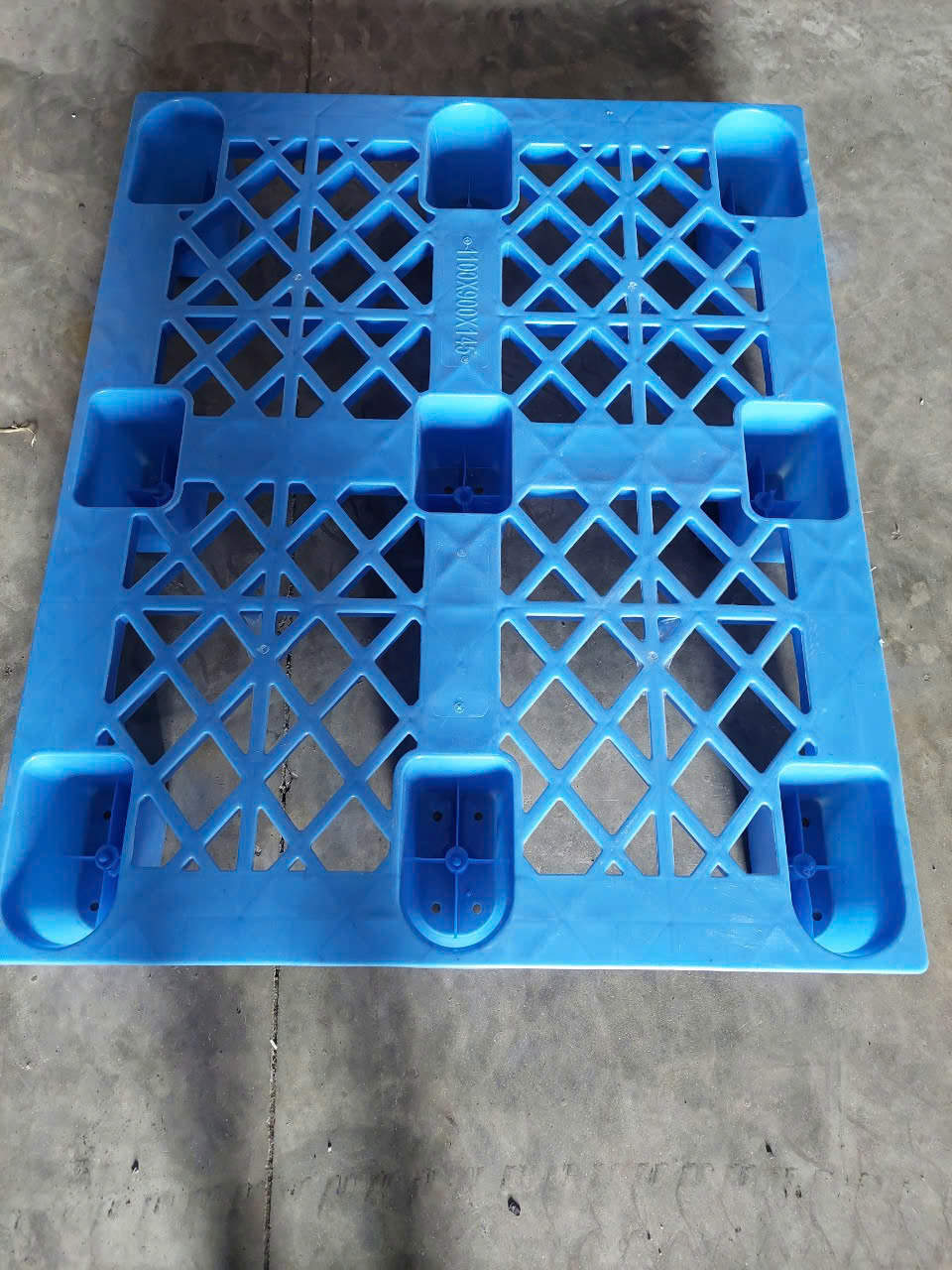 Pallet nhựa cốc KT  1200x800x145mm