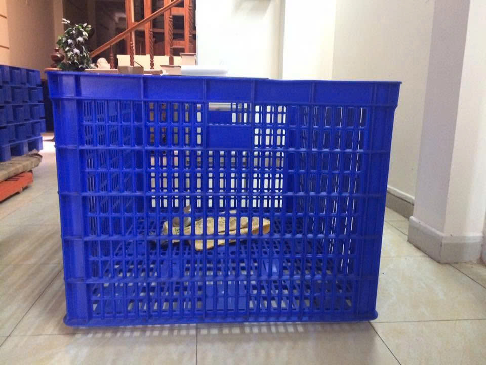 Thùng Nhựa HS015
