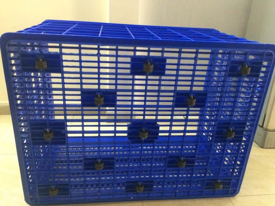 Pallet nhựa màu xanh dạng lưới có nút chống trượt dùng kê hàng trong kho