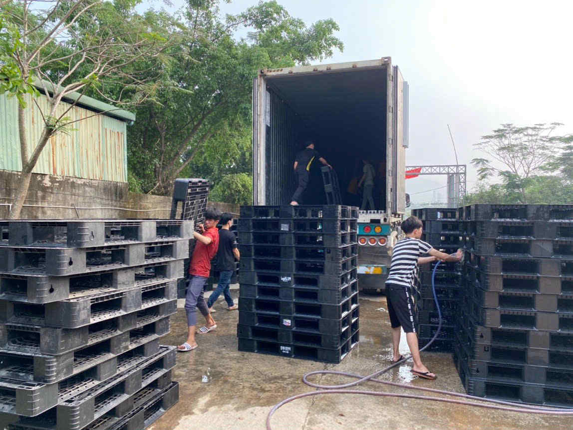 Công nhân bốc xếp và vệ sinh pallet nhựa đen cạnh container ngoài trời
