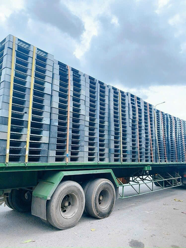 XE PALLET NHUA